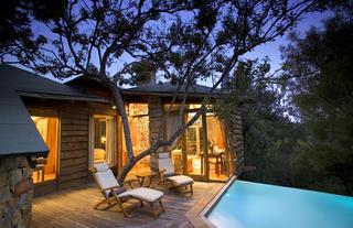 Tsala Treetop Lodge Suite 
